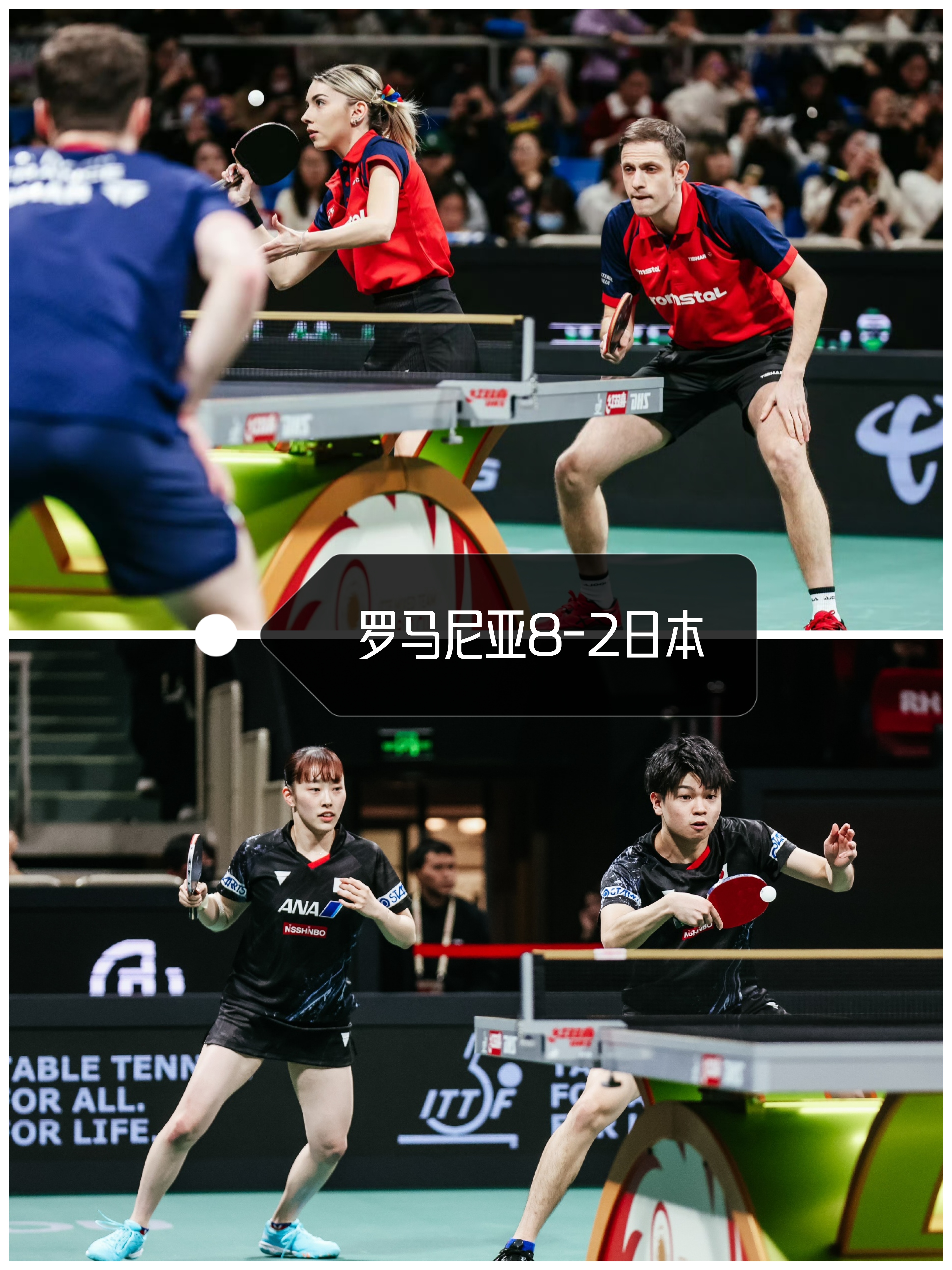 关于中国乒乓球队爆冷比利时乒乓球队，波尔统治全场的信息