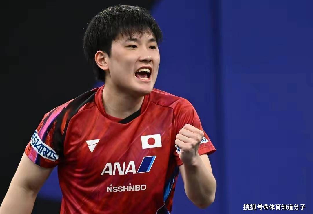 奥地利队力克葡萄牙队，张本智和统治全场的简单介绍