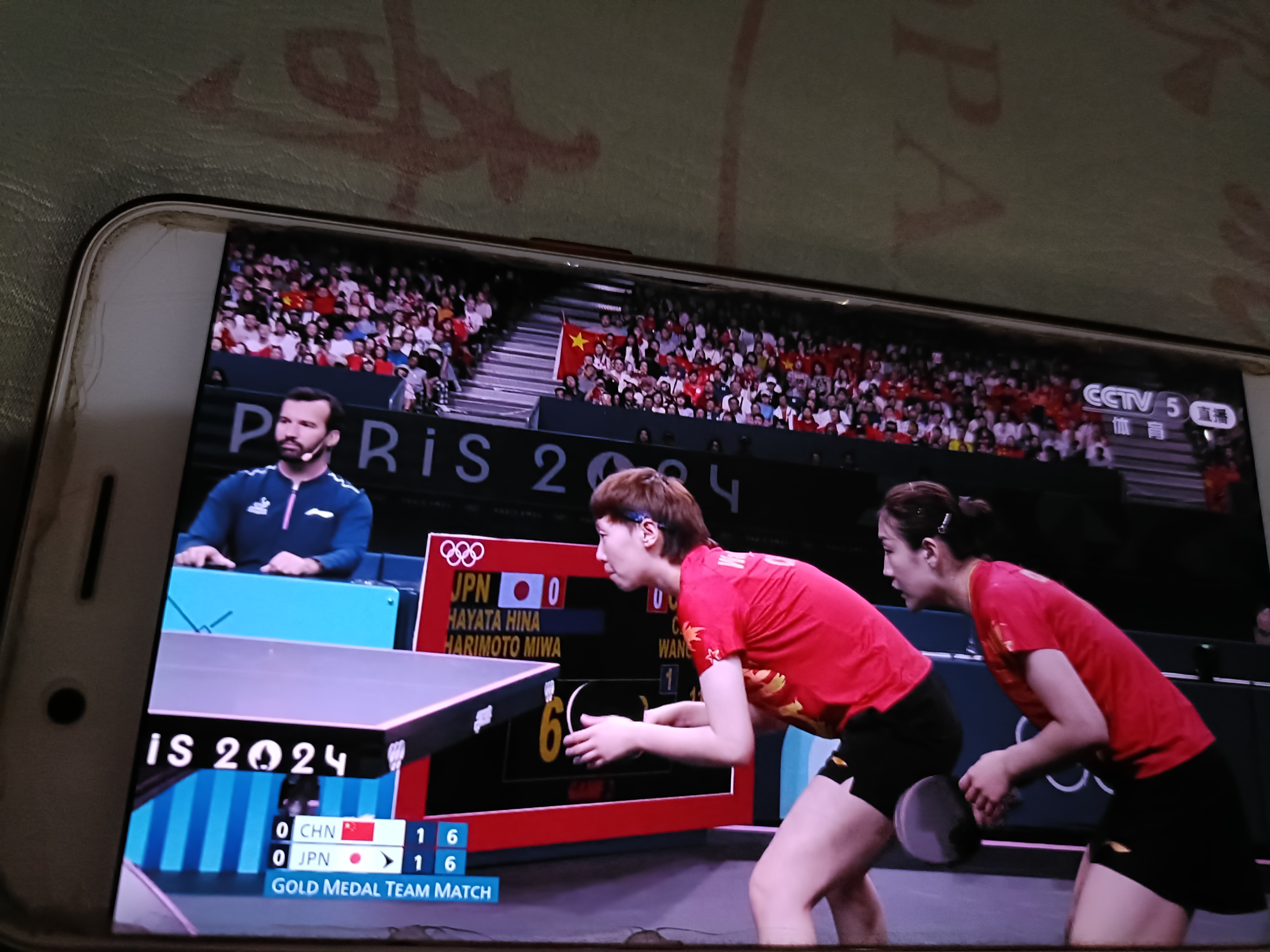 关于日本队翻盘法国队，马琳扛起全队的信息