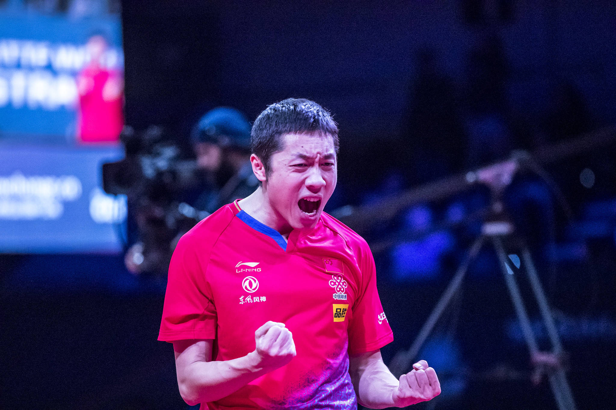 关于奥地利队绝杀瑞典队，许昕状态火热的信息