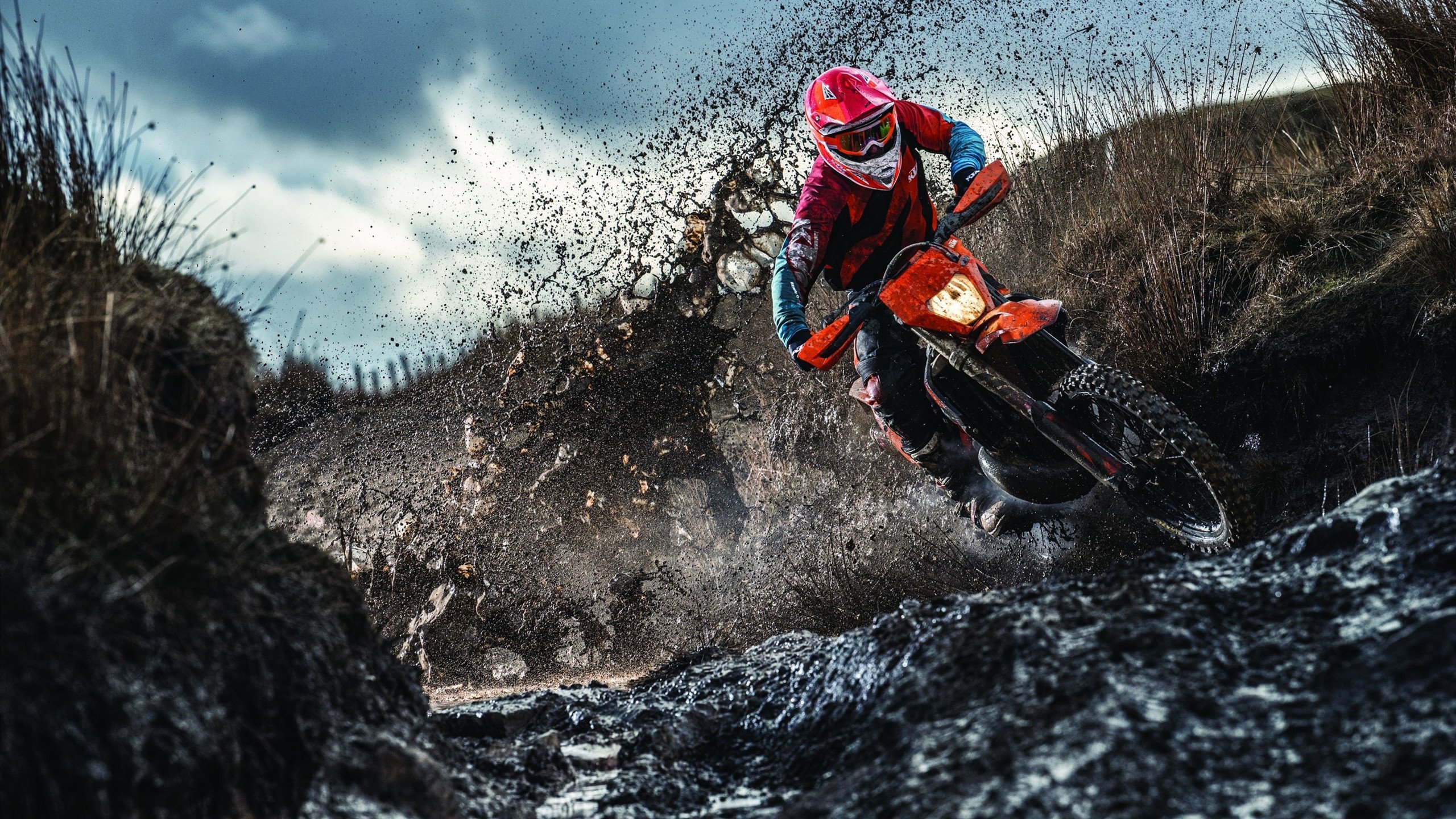 硬仗之王杰伦·格林,上海队血拼奇才的启示